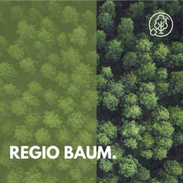 Regio Baum vor grünem Wald-Hintergrund