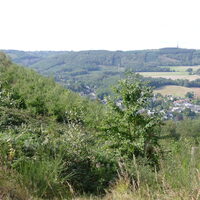 Blick über Anpflanzung am Hang aufs Tal mit Dorf